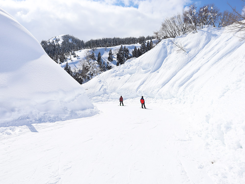 美奈ファミリー林間コース