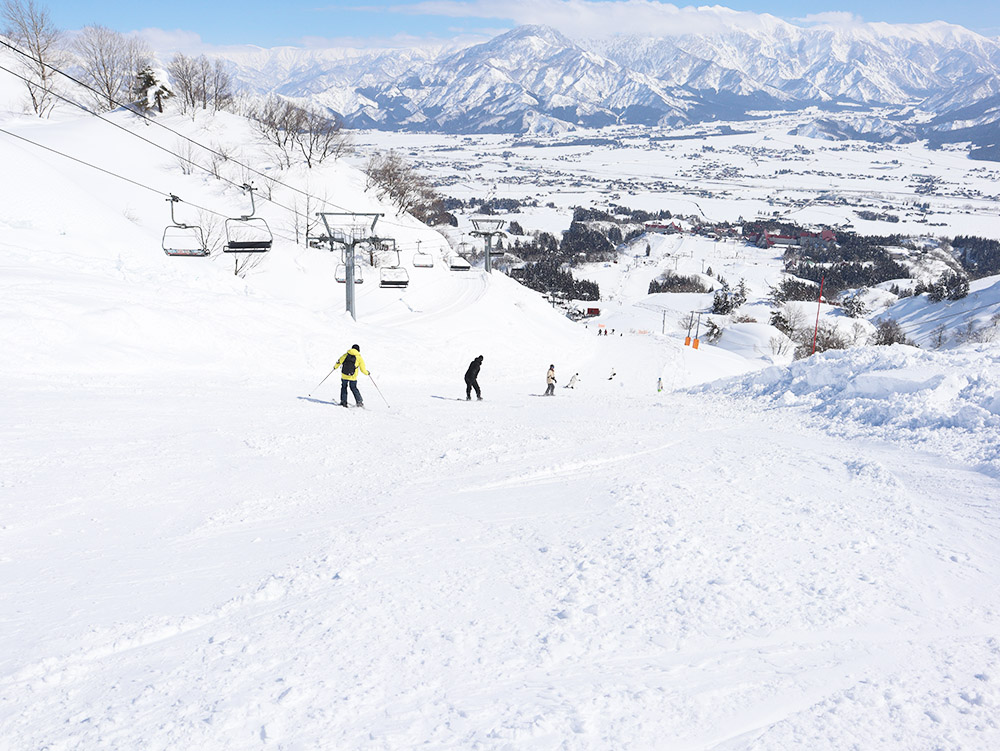 パノラマクワッドメインコース