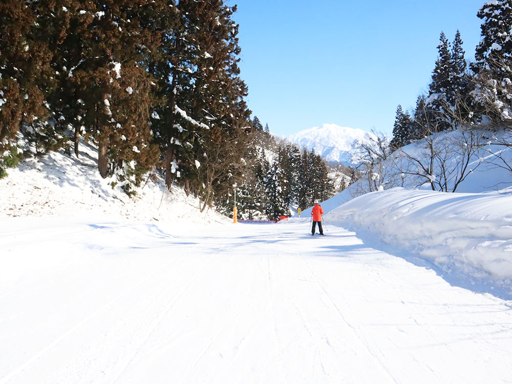 リーゼンファミリー林間コース