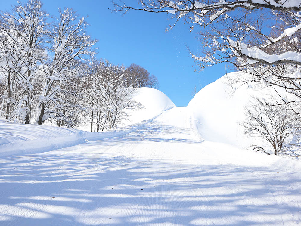 当間第ゲレンデ迂回コース