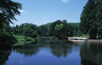 上の原公園