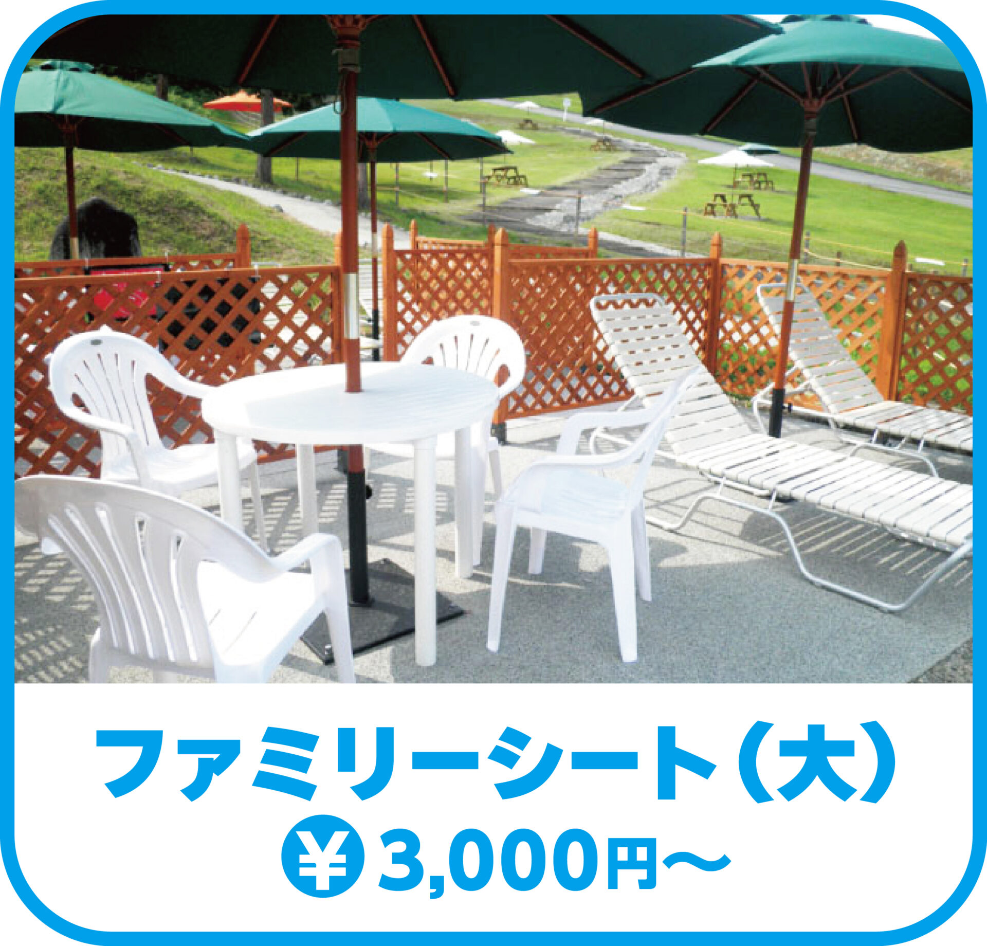 ファミリーシート（大）