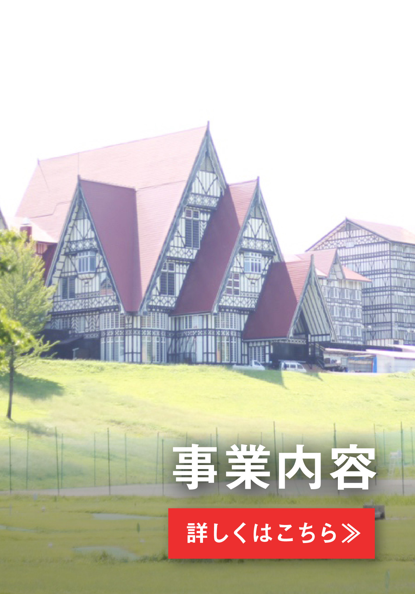事業内容