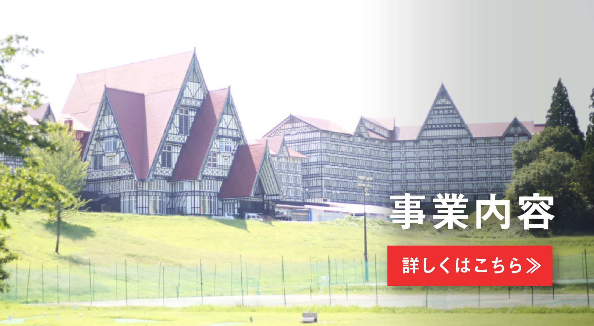 事業内容