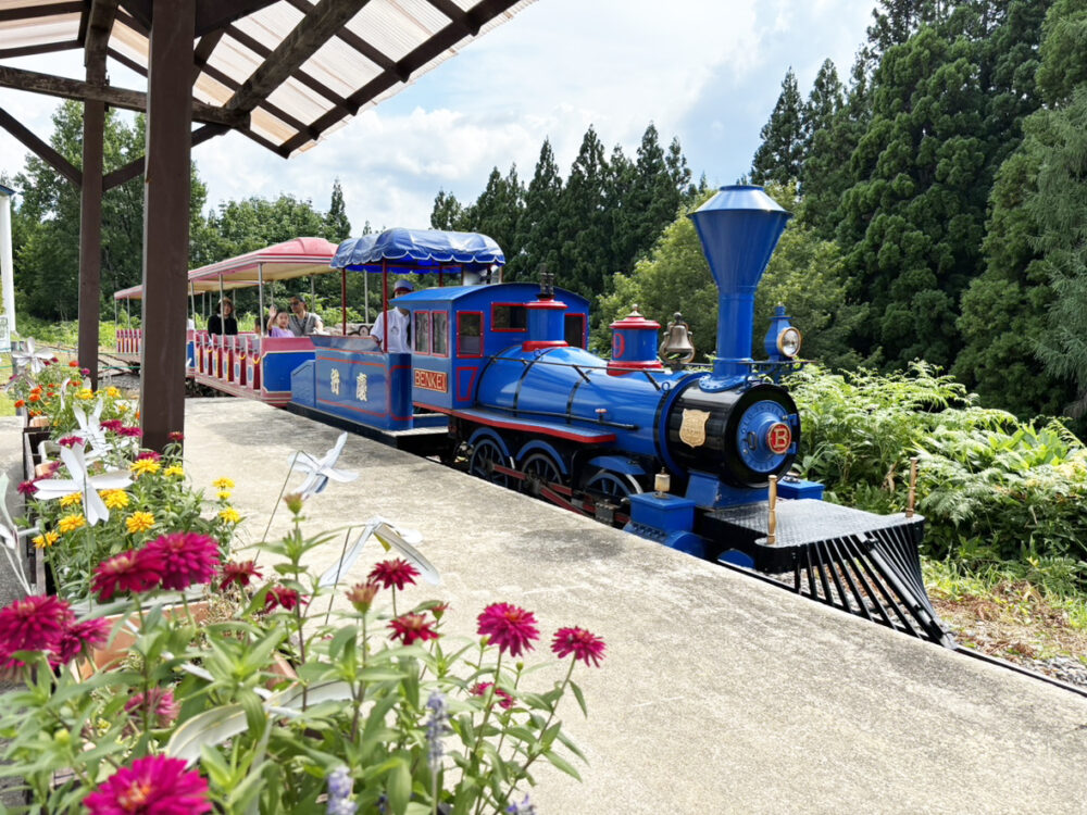 プレイパーク - ホテルグリーンプラザ上越【公式】