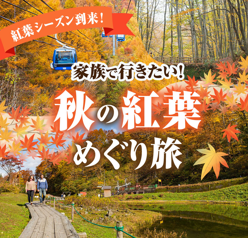 家族で行きたい!秋の紅葉めぐり旅♪