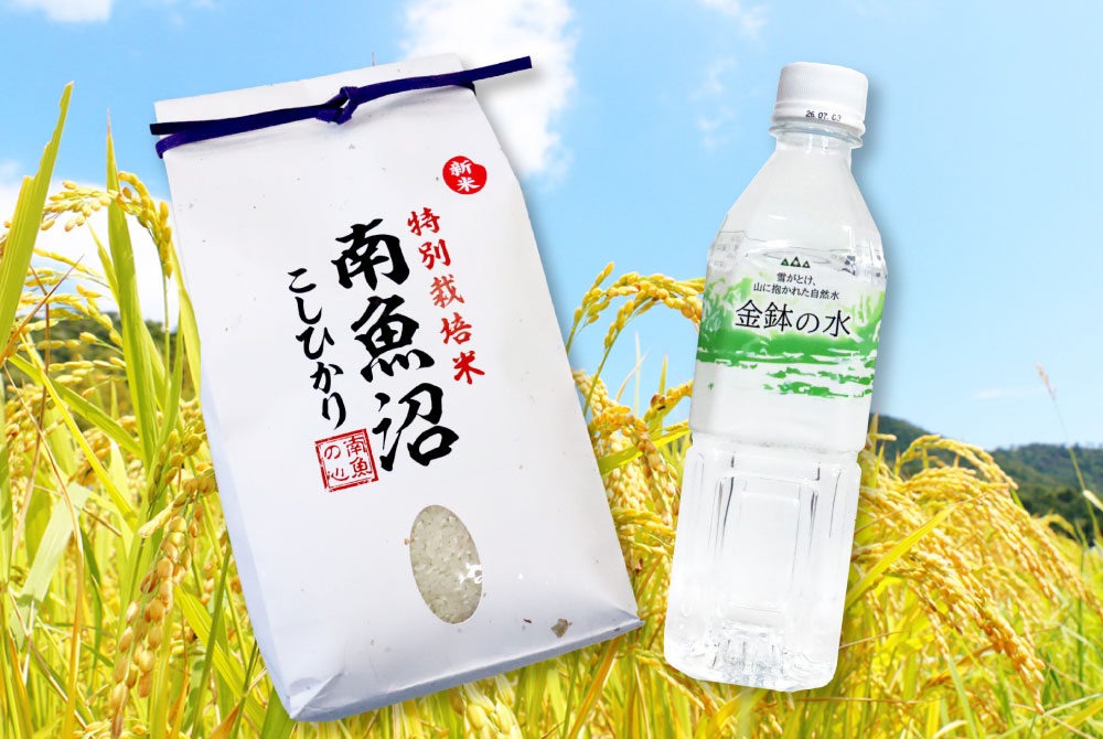 秋に届く嬉しいサプライズ!