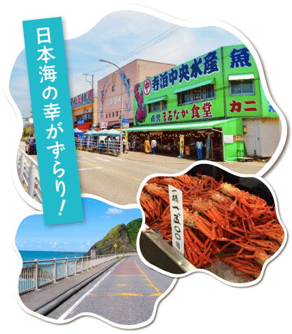 寺泊魚の市場通り写真