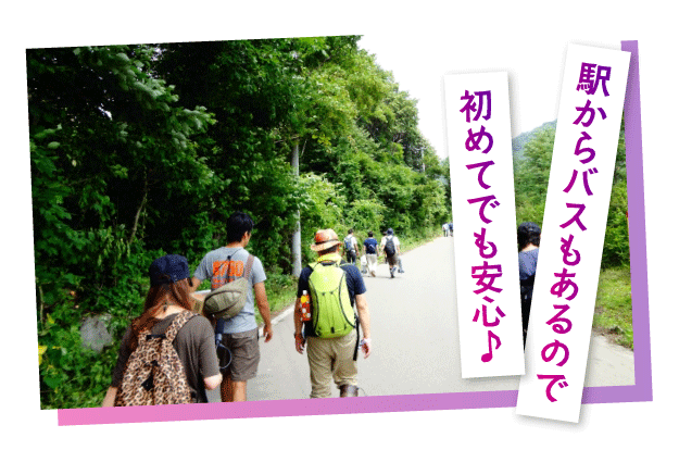 フジロックの会場へ向かう道のイメージ写真