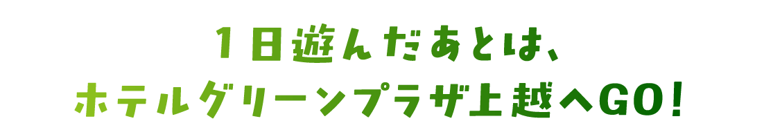 1日遊んだあとは、ホテルグリーンプラザ上越へGO!