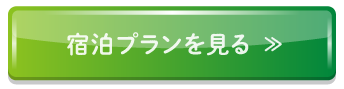 宿泊プランを見る