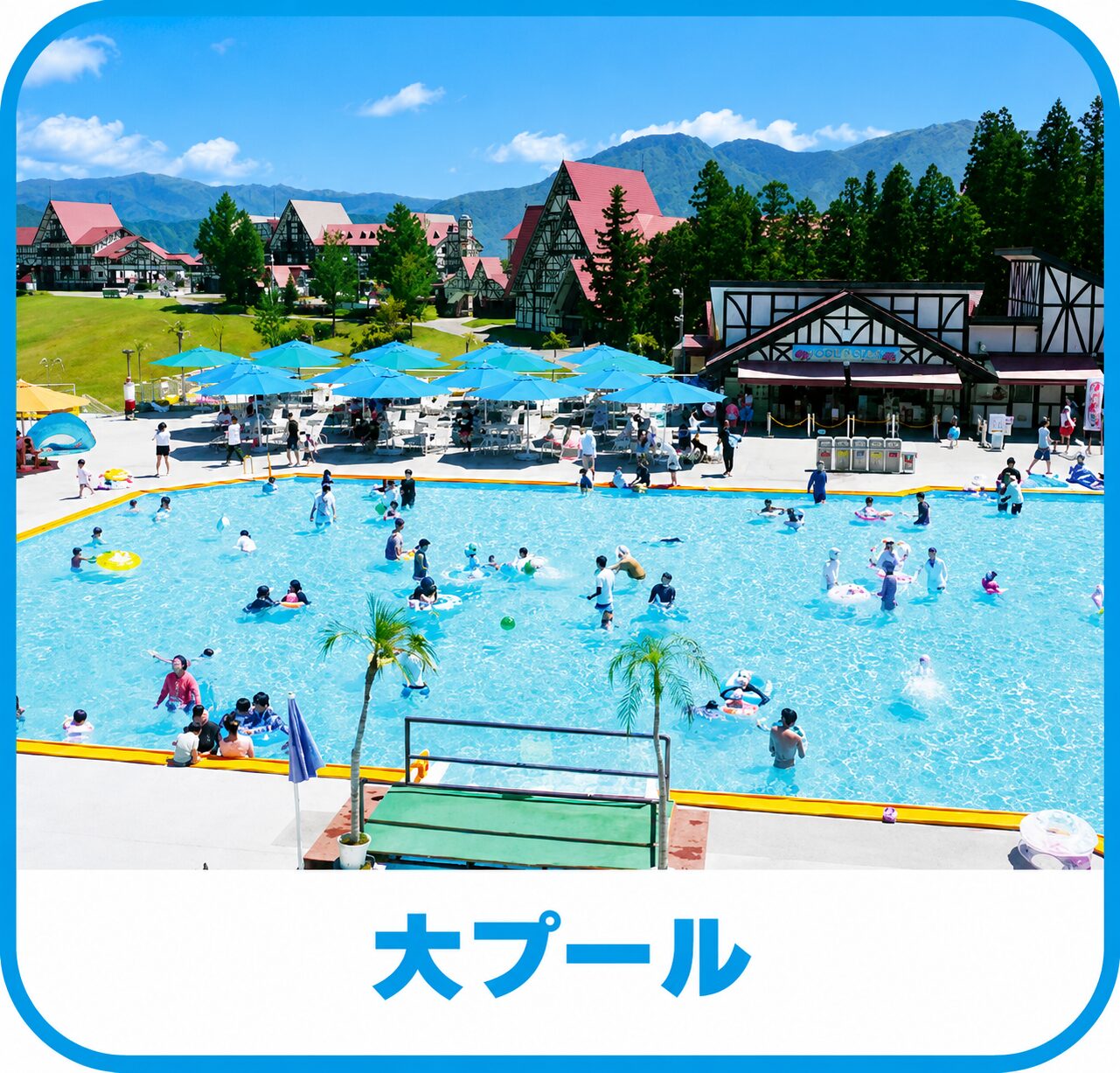 大プール